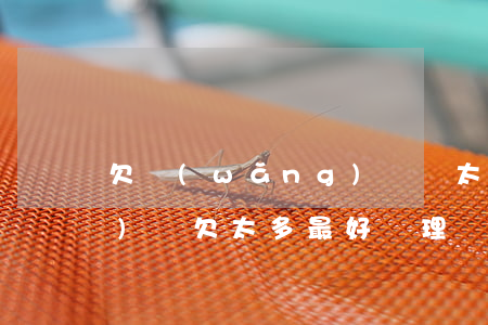 欠網(wǎng)貸錢太多(欠網(wǎng)貸欠太多最好處理辦法)