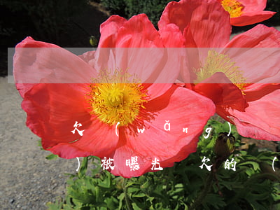欠網(wǎng)貸錢微信聊天會(huì)被曝光嗎(欠的網(wǎng)貸會(huì)不會(huì)從微信扣錢)