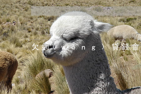 欠網(wǎng)貸錢會不會被警察抓