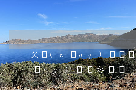 欠網(wǎng)貸錢會不會起訴(欠網(wǎng)貸會起訴嗎)