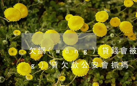 欠網(wǎng)貸錢會被捉嗎(網(wǎng)貸欠款公安會抓嗎)