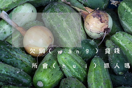 欠網(wǎng)貸錢沒(méi)還派出所會(huì)抓人嗎(欠網(wǎng)貸公安局會(huì)抓人嗎)