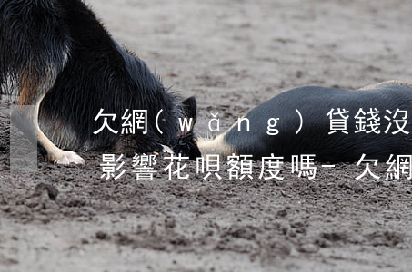 欠網(wǎng)貸錢沒有還會(huì)影響花唄額度嗎-欠網(wǎng)貸錢沒有還會(huì)影響花唄額度嗎知乎
