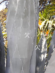 欠網(wǎng)貸錢沒還四年沒還會怎么樣(欠網(wǎng)貸幾年沒還)