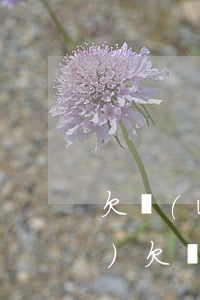 欠網(wǎng)貸錢法院會凍結(jié)(欠網(wǎng)貸的錢會凍結(jié)支付寶嗎)