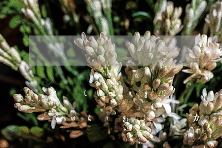 欠網(wǎng)貸錢無力償還怎么辦(欠網(wǎng)貸無力償還會怎么樣)