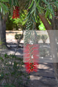 欠網(wǎng)貸錢被法院起訴多久會(huì)開(kāi)庭-欠網(wǎng)貸錢被法院起訴多久會(huì)開(kāi)庭審理
