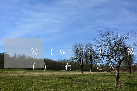 欠網(wǎng)貸錢被起訴了確實(shí)沒有錢還怎么辦-欠網(wǎng)貸錢被起訴了確實(shí)沒有錢還怎么辦?