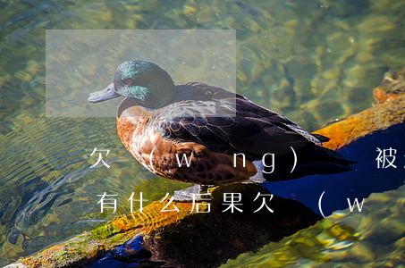 欠網(wǎng)貸錢被起訴會(huì)有什么后果(欠網(wǎng)貸被起訴了一般會(huì)怎么判)