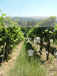 欠網(wǎng)貸錢車輛會(huì)不會(huì)被凍結(jié)(欠網(wǎng)貸錢會(huì)被凍結(jié)微信嗎)