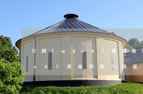 欠網(wǎng)貸錢逾期未還(欠網(wǎng)貸逾期無力償還)
