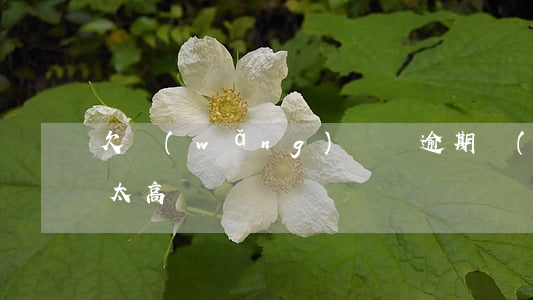 欠網(wǎng)貸錢逾期費(fèi)用太高