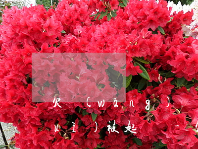 欠網(wǎng)貸錢還不上怎么辦會(huì)被起訴嗎-欠網(wǎng)貸錢還不上怎么辦會(huì)被起訴嗎知乎