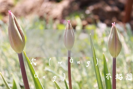 欠網(wǎng)貸錢還不起想死(欠網(wǎng)貸錢還不起想死)