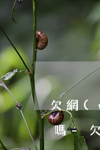 欠網(wǎng)貸錢還不起會影響找工作嗎-欠網(wǎng)貸錢還不起會影響找工作嗎知乎