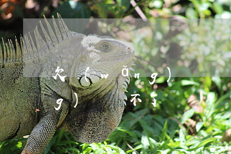 欠網(wǎng)貸錢還不起(欠網(wǎng)貸還不了)