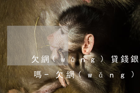 欠網(wǎng)貸錢銀行卡還能拿錢出來嗎-欠網(wǎng)貸錢銀行卡還能拿錢出來嗎安全嗎