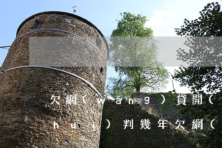 欠網(wǎng)貸開(kāi)庭后會(huì)判幾年(欠網(wǎng)貸起訴一般多久開(kāi)庭)