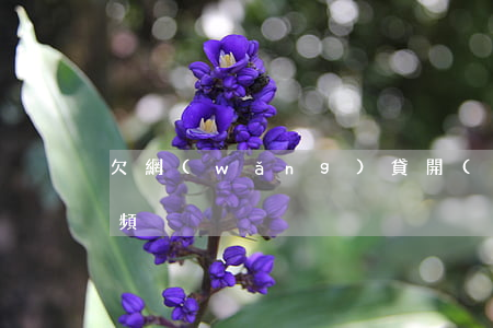 欠網(wǎng)貸開(kāi)庭審判視頻
