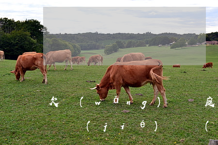 欠網(wǎng)貸開庭前會(huì)被凍結(jié)資產(chǎn)嗎(欠網(wǎng)貸會(huì)被司法凍結(jié)嗎)