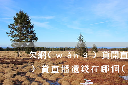 欠網(wǎng)貸開直播(欠網(wǎng)貸直播還錢在哪個(gè)軟件)