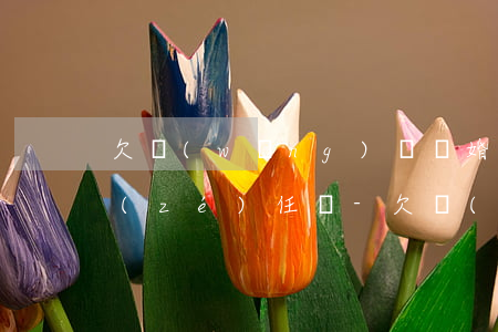 欠網(wǎng)貸離婚了老婆和兒子有責(zé)任嗎-欠網(wǎng)貸離婚了老婆和兒子有責(zé)任嗎怎么辦