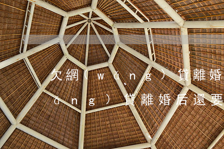 欠網(wǎng)貸離婚以后(老婆欠網(wǎng)貸離婚后還要還嗎)