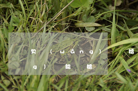 欠網(wǎng)貸離婚 知乎(欠網(wǎng)貸能離婚嗎)