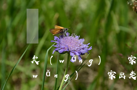 欠網(wǎng)貸離家出走被找回(欠網(wǎng)貸離家出走被找回)