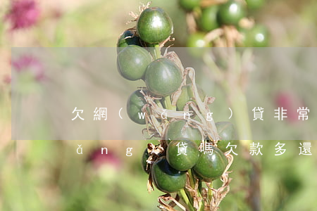 欠網(wǎng)貸非常多還能貸到網(wǎng)貸嗎(欠款多還能辦網(wǎng)貸嗎)