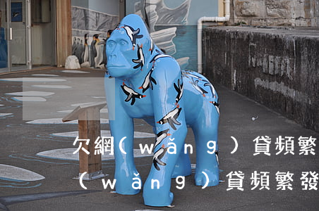 欠網(wǎng)貸頻繁發(fā)信息(網(wǎng)貸頻繁發(fā)起訴短信)