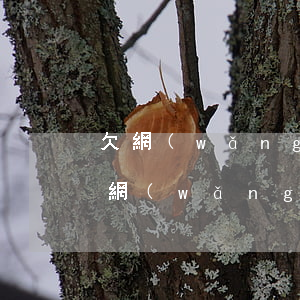 欠網(wǎng)貸飯都吃不上了怎么辦(欠網(wǎng)貸還不上會(huì)怎樣)