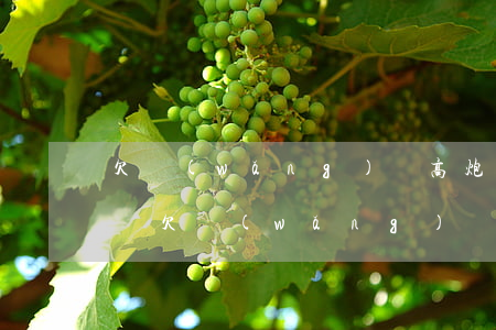 欠網(wǎng)貸高炮7萬沒有錢還怎么辦(欠網(wǎng)貸七萬怎么辦)