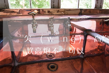 欠網(wǎng)貸高炮不還可以買車嗎(貸款高炮不還可以嗎)