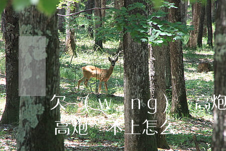欠網(wǎng)貸高炮還不上怎么辦(欠了高炮還不上怎么辦)