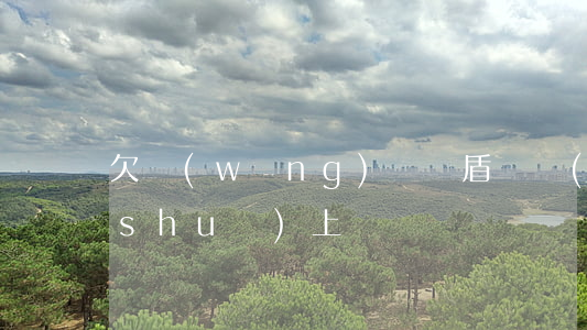欠網(wǎng)貸鷹盾債務(wù)說(shuō)上門
