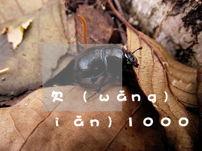 欠網(wǎng)貸點(diǎn)點(diǎn)1000沒(méi)還(欠點(diǎn)點(diǎn)網(wǎng)貸還不上怎么辦)