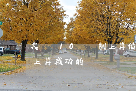 欠網貸10萬強制上岸(借十萬網貸強制下款上岸成功的經歷)