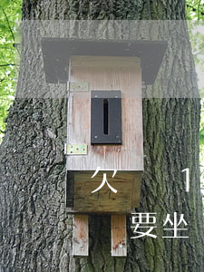 欠網貸12萬還不上能判多少年(欠網貸10萬要坐幾年牢)