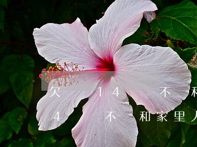 欠網貸14萬該不該和家里人說-欠網貸14萬該不該和家里人說呢