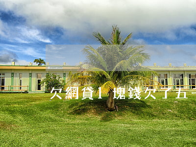 欠網貸1塊錢(欠了五千塊錢網貸)