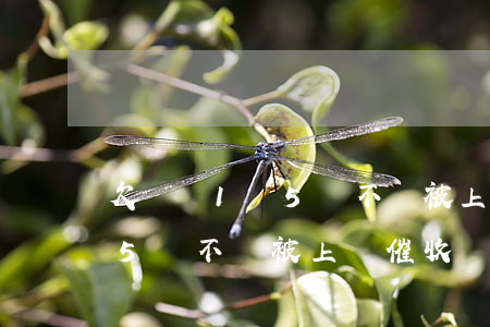 欠網貸1萬5會不會被上門催收(欠網貸1萬5會不會被上門催收)