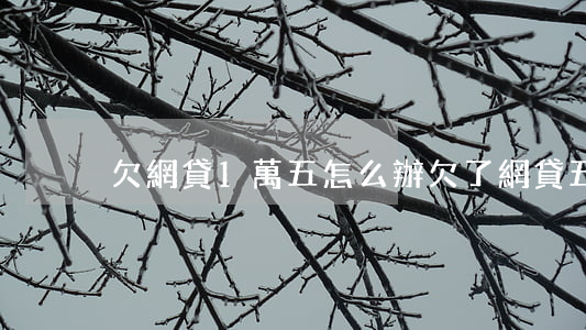 欠網貸1萬五怎么辦(欠了網貸五萬怎么辦)