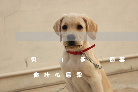 欠網貸1萬多沒還有事嗎(欠了幾千網貸沒還有什么后果)