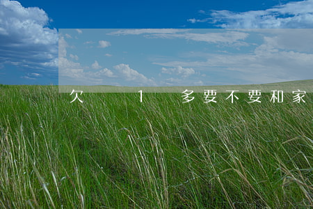 欠網貸1萬多要不要和家人坦白