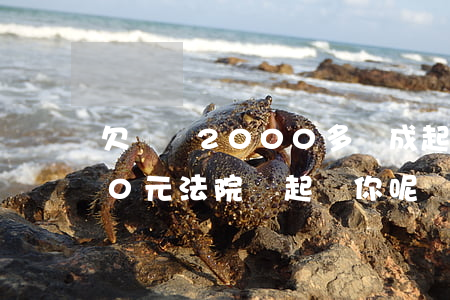 欠網貸2000多構成起訴嗎(欠網貸2000元法院會起訴你呢)