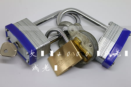欠網貸2000會成老賴嗎(欠網貸會不會變成老賴)