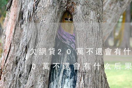 欠網貸20萬不還會有什么后果-欠網貸20萬不還會有什么后果嗎