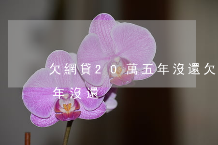 欠網貸20萬五年沒還(欠多個網貸20萬三年沒還)