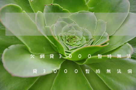 欠網貸3000暫時無法償還怎么辦-欠網貸3000暫時無法償還怎么辦呢